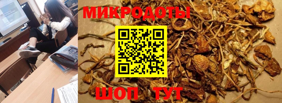 купить наркотики цена  Вход с VPN  Вязники  Псилоцибиновые грибы GOLDEN TEACHER 